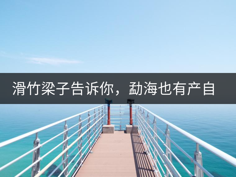 滑竹梁子告訴你，勐海也有產(chǎn)自國有林里的好茶！