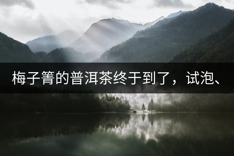 梅子箐的普洱茶終于到了，試泡、、、