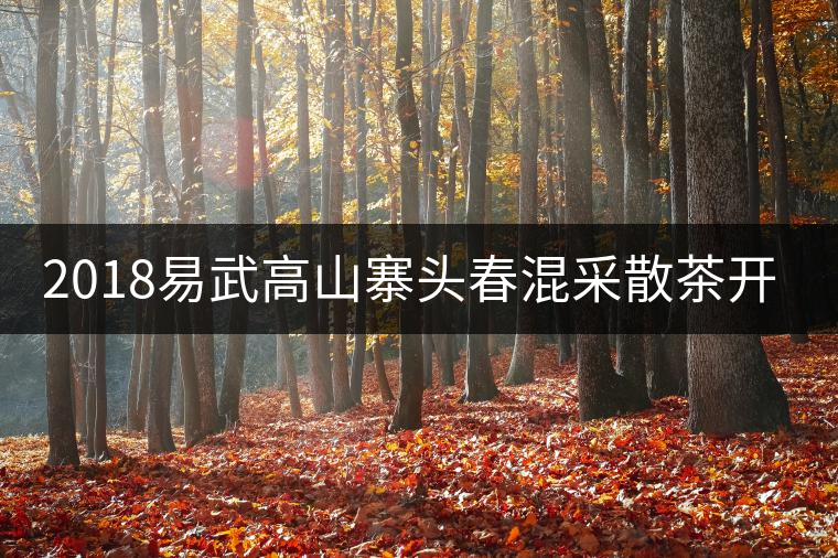 2018易武高山寨頭春混采散茶開湯