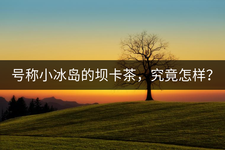 號稱小冰島的壩卡茶，究竟怎樣？