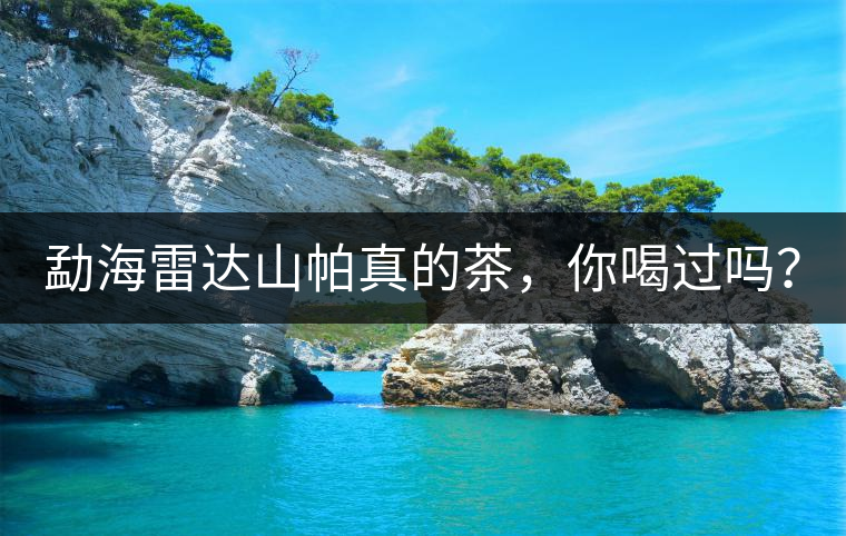 勐海雷達(dá)山帕真的茶，你喝過嗎？