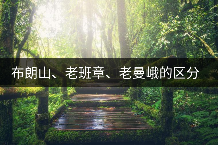 布朗山、老班章、老曼峨的區(qū)分和鑒別