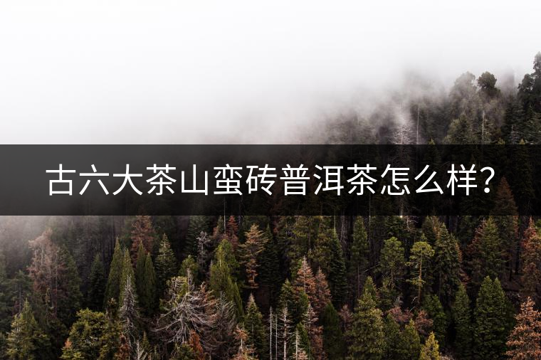 古六大茶山蠻磚普洱茶怎么樣？