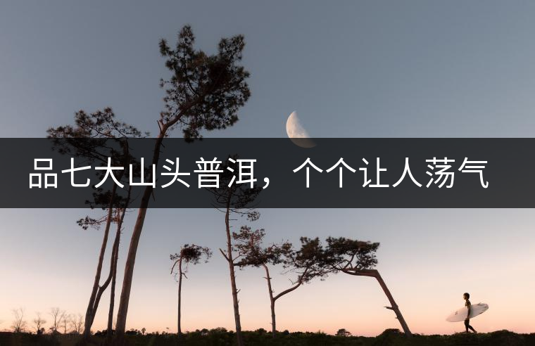 品七大山頭普洱，個(gè)個(gè)讓人蕩氣回腸