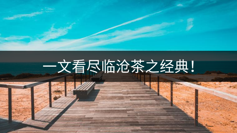 一文看盡臨滄茶之經(jīng)典！