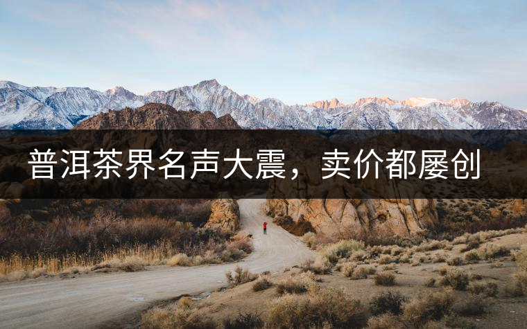 普洱茶界名聲大震，賣價都屢創(chuàng)新高竟然是它