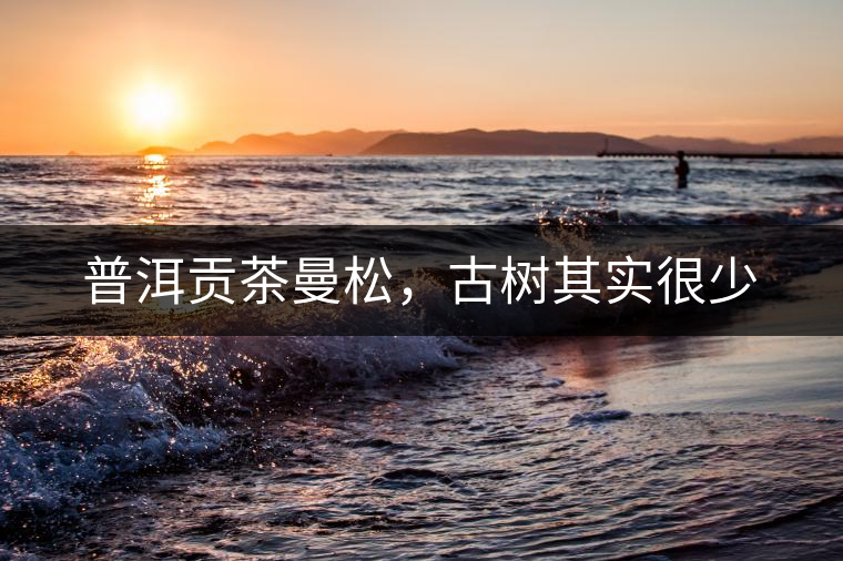 普洱貢茶曼松，古樹其實(shí)很少