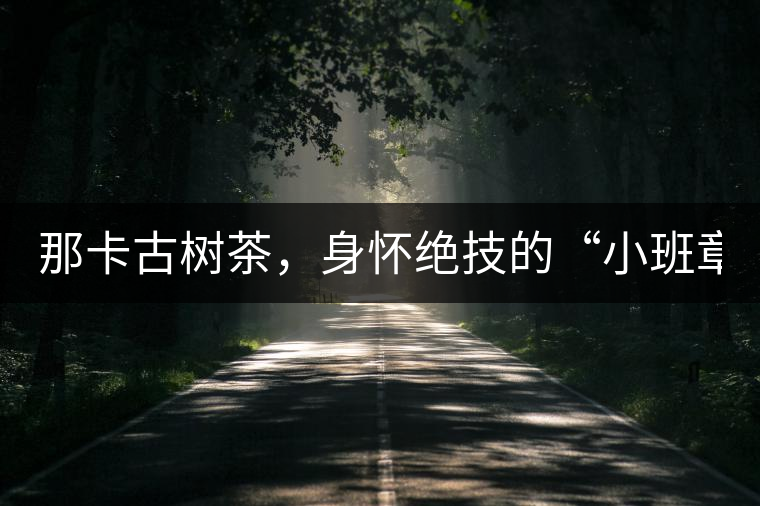 那卡古樹茶，身懷絕技的“小班章”