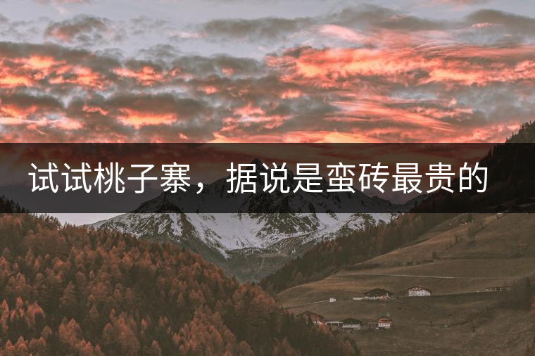 試試桃子寨，據說是蠻磚最貴的茶