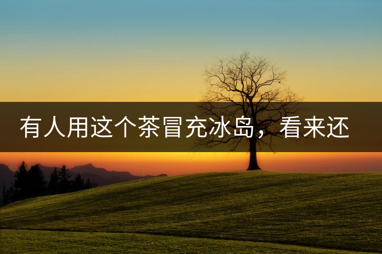 有人用這個(gè)茶冒充冰島，看來還是有幾分道理
