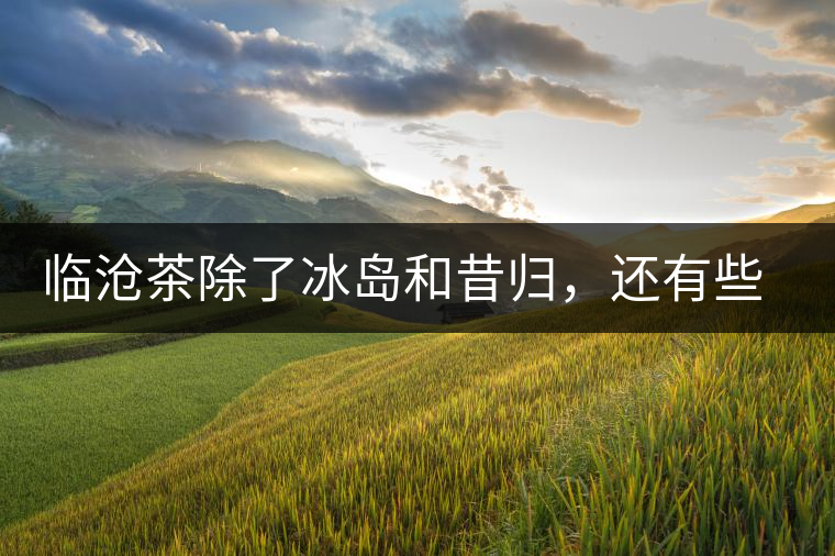 臨滄茶除了冰島和昔歸，還有些什么？