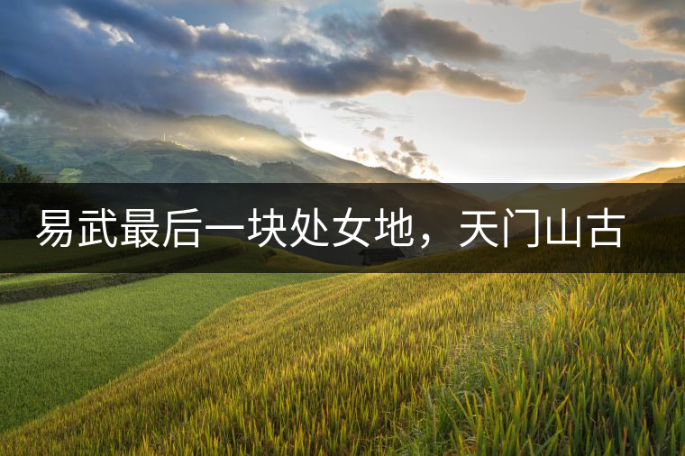 易武最后一塊處女地，天門山古茶林尋訪記（藏家必看）