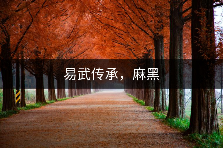 易武傳承，麻黑