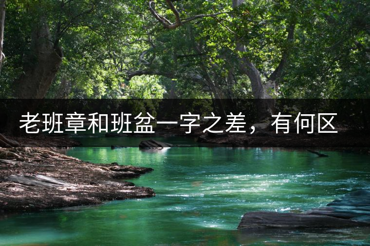 老班章和班盆一字之差，有何區(qū)別