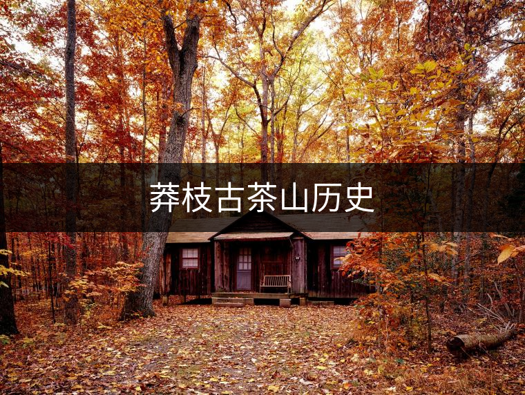 莽枝古茶山歷史