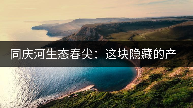 同慶河生態(tài)春尖：這塊隱藏的產(chǎn)茶圣地，你知道嗎？
