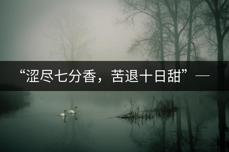 “澀盡七分香，苦退十日甜”─ 老曼娥