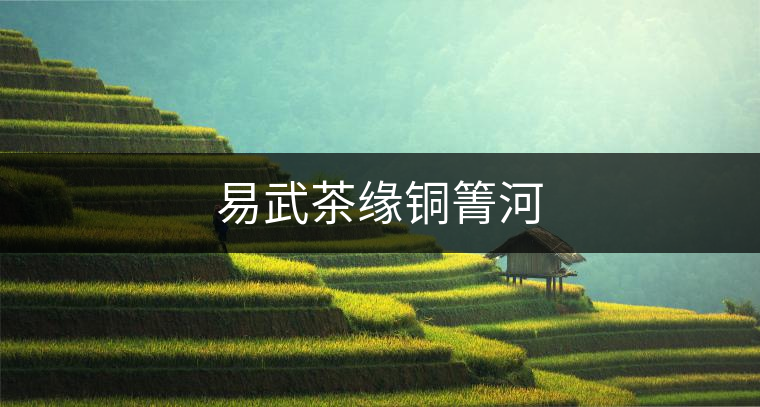易武茶緣銅箐河