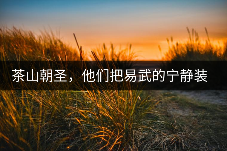 茶山朝圣，他們把易武的寧靜裝進心里，卻把成堆垃圾留在