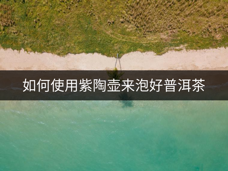 如何使用紫陶壺來泡好普洱茶