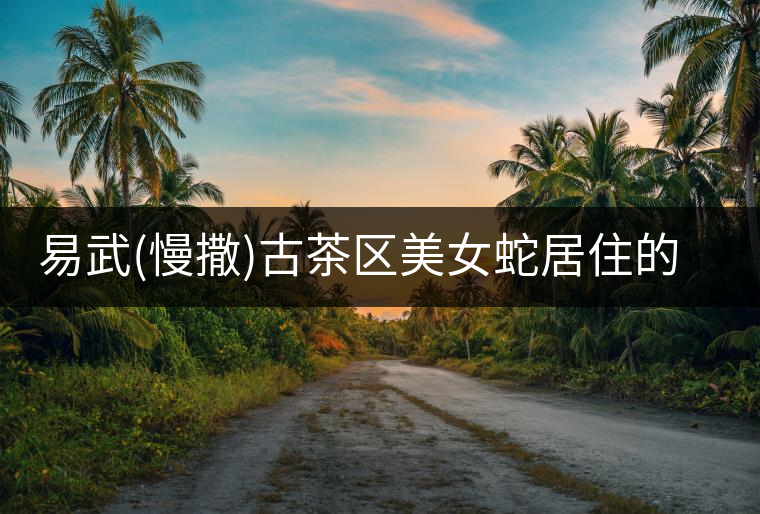 易武(慢撒)古茶區(qū)美女蛇居住的地方