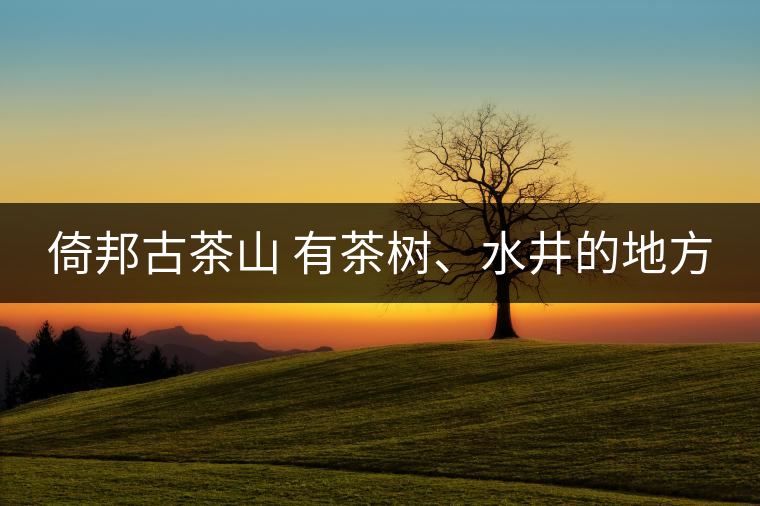 倚邦古茶山 有茶樹、水井的地方