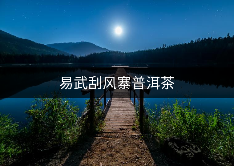 易武刮風寨普洱茶 易武刮風寨普洱茶