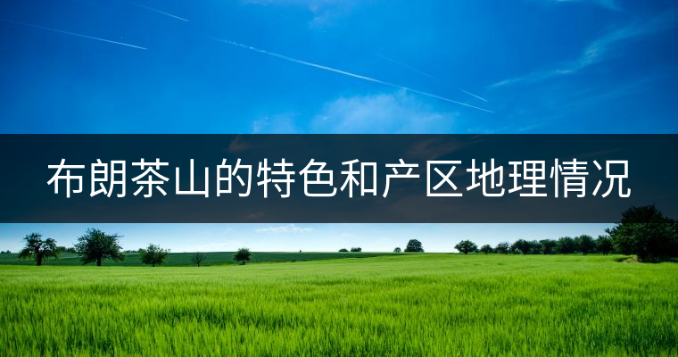 布朗茶山的特色和產區(qū)地理情況