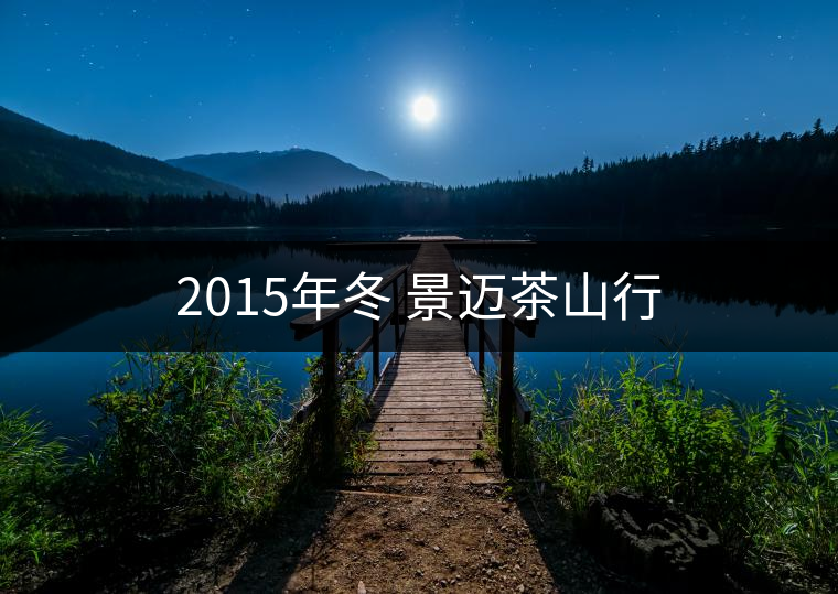 2015年冬 景邁茶山行