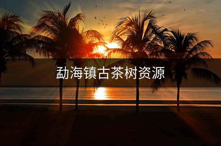 勐海鎮(zhèn)古茶樹資源