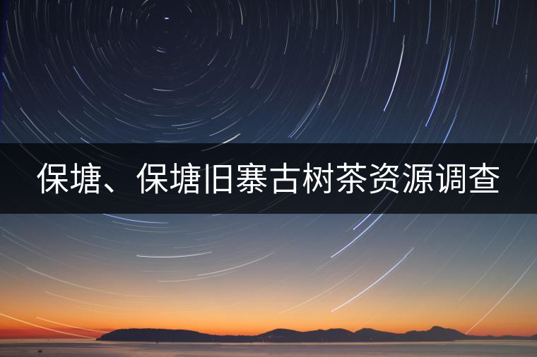 保塘、保塘舊寨古樹(shù)茶資源調(diào)查