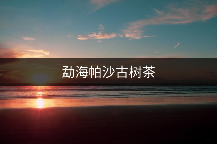 勐海帕沙古樹茶
