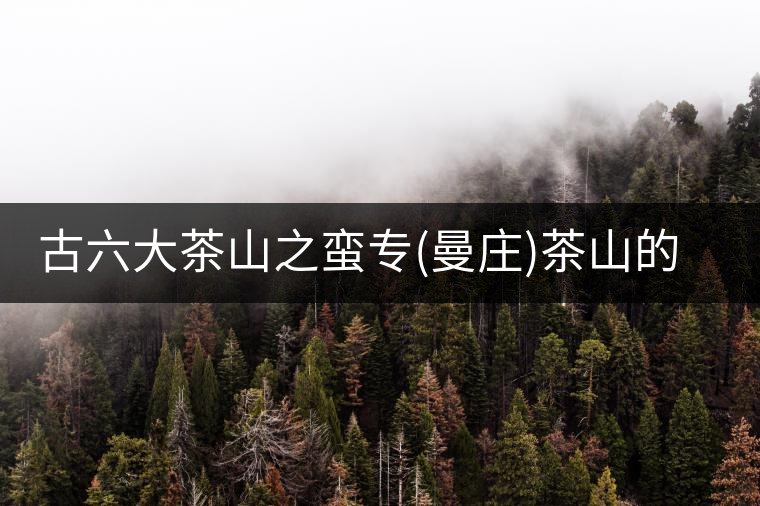 古六大茶山之蠻專(曼莊)茶山的地理淵源