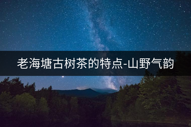 老海塘古樹茶的特點(diǎn)-山野氣韻