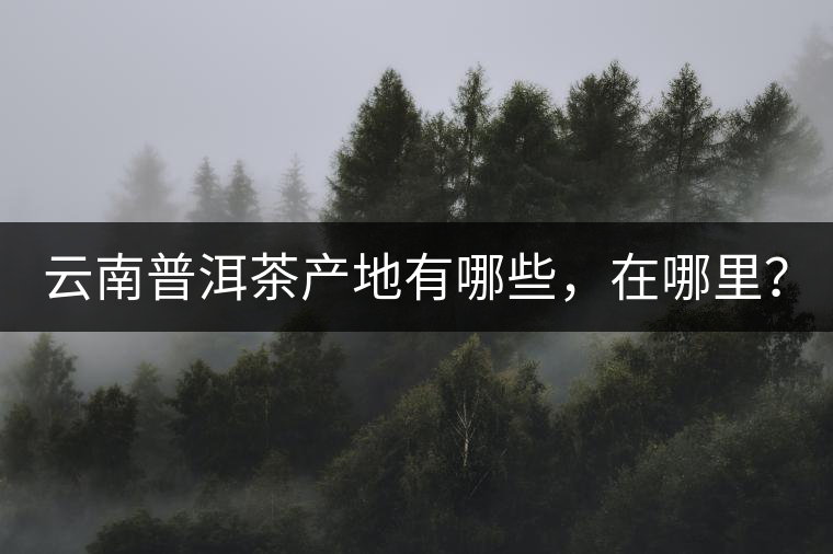 云南普洱茶產(chǎn)地有哪些，在哪里？