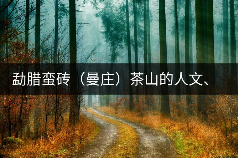 勐臘蠻磚（曼莊）茶山的人文、生態(tài)