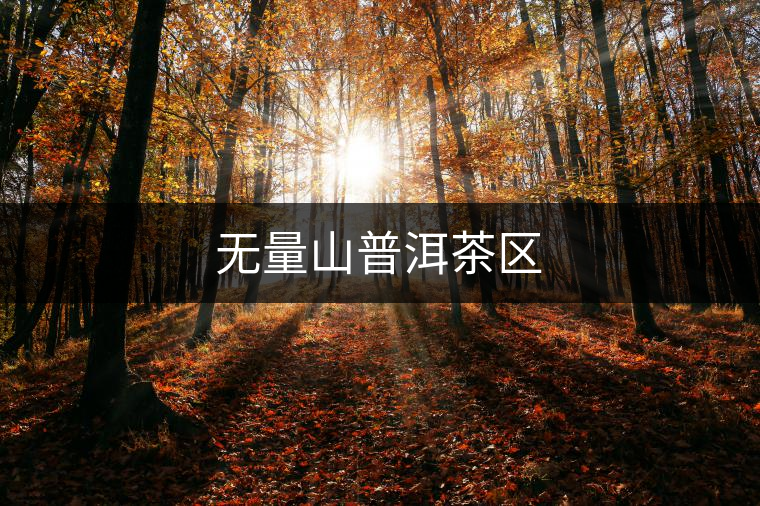 無量山普洱茶區(qū)