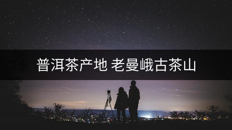 普洱茶產(chǎn)地 老曼峨古茶山