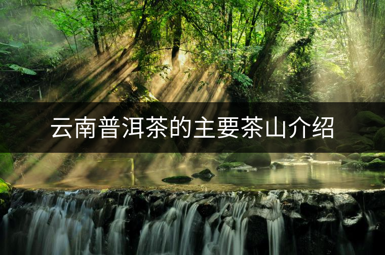 云南普洱茶的主要茶山介紹