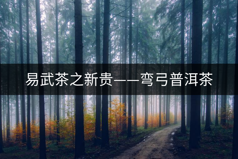 易武茶之新貴——彎弓普洱茶