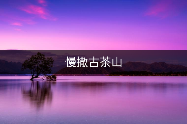慢撒古茶山