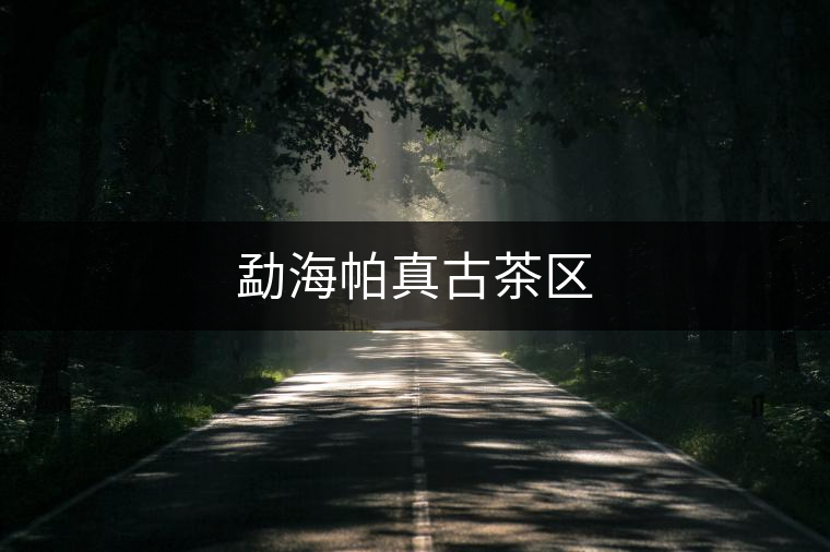 勐海帕真古茶區(qū)