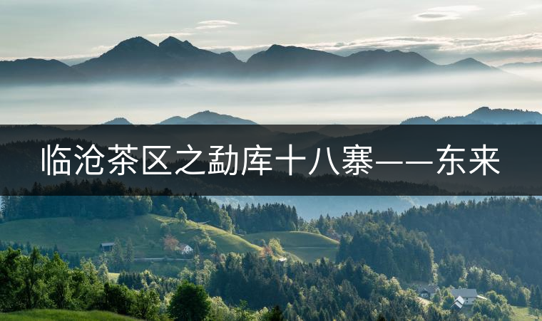 臨滄茶區(qū)之勐庫十八寨——東來