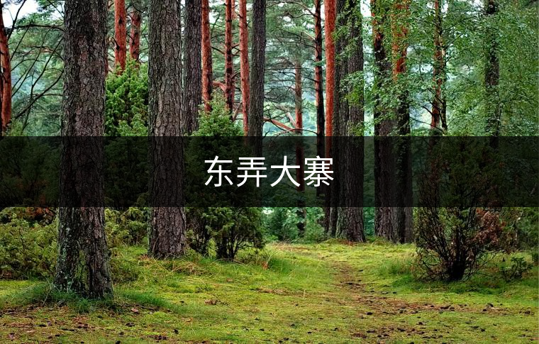 東弄大寨