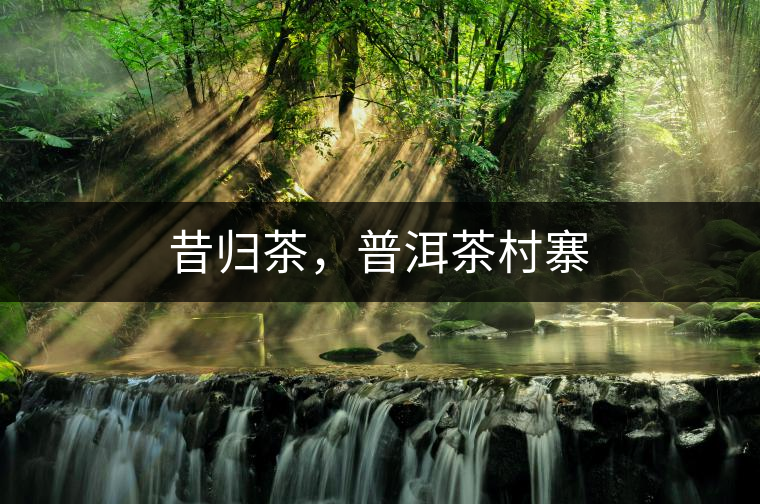 昔歸茶，普洱茶村寨