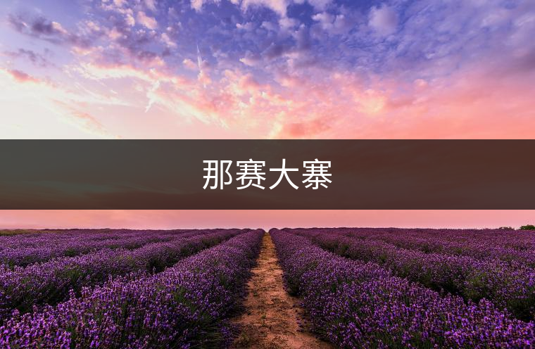 那賽大寨