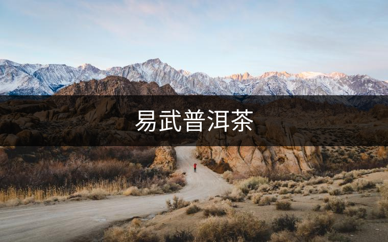 易武普洱茶