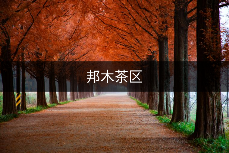 邦木茶區(qū)