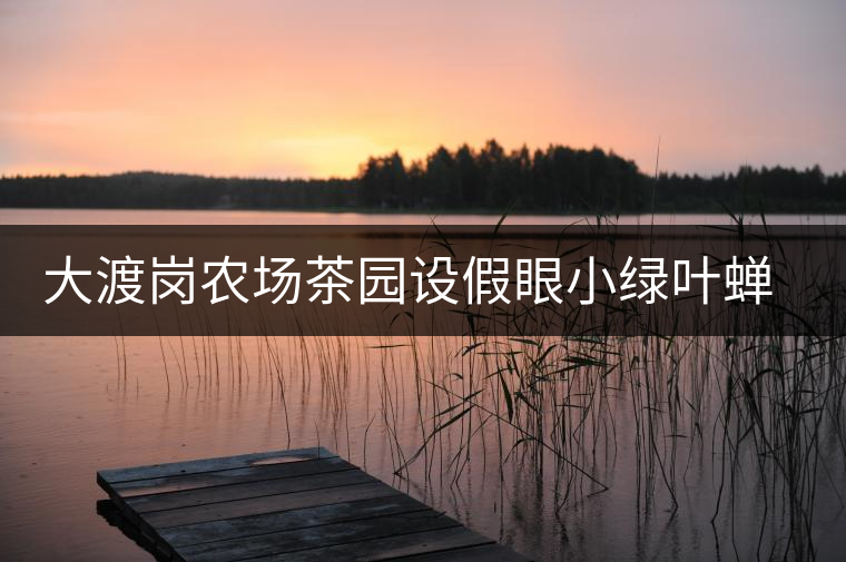 大渡崗農(nóng)場(chǎng)茶園設(shè)假眼小綠葉蟬調(diào)查監(jiān)測(cè)點(diǎn) 大渡崗農(nóng)場(chǎng)茶園設(shè)假眼小綠葉蟬調(diào)查監(jiān)測(cè)點(diǎn)