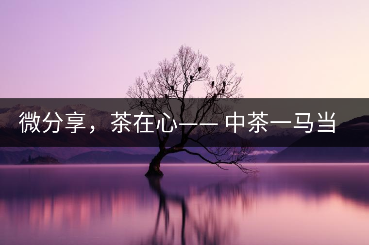 微分享，茶在心—— 中茶一馬當(dāng)先